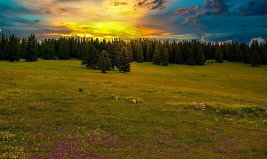 Zdravstvo – šansa za spas BiH turizma u doba koronavirusa