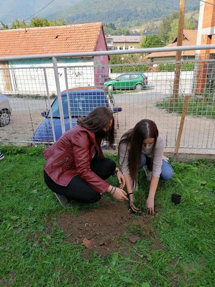 (FOTO) Učenici MSEUŠ Travnik posadili "drvo mira"