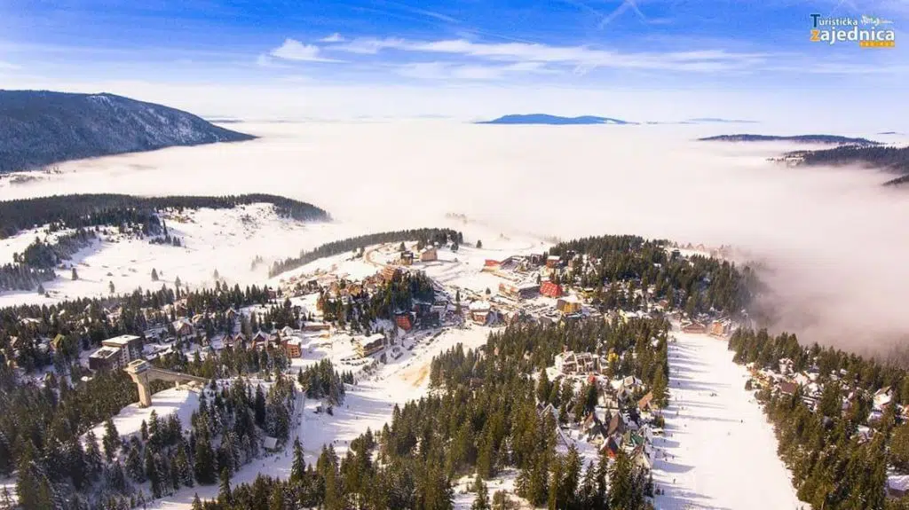 babanovac vlasic
