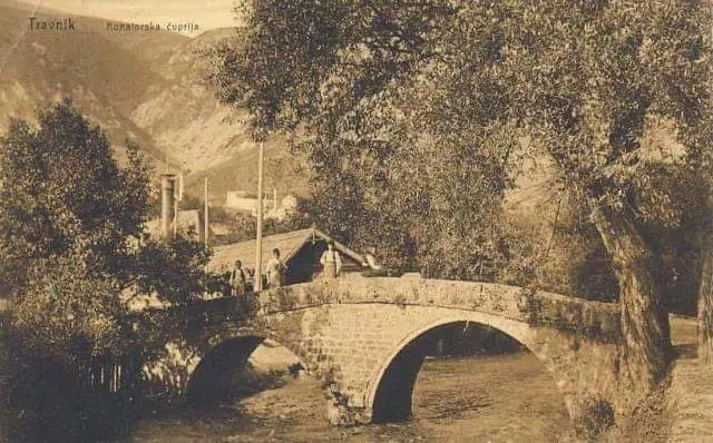 Priča Nihada Karića/ Suša