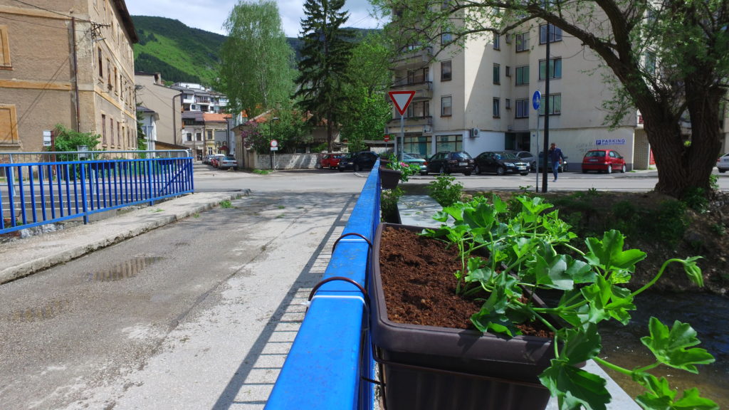 Sadnja cvijeća i uređenje javnih površina u Travniku