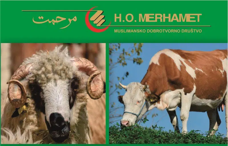 Merhamet Travnik/ Akcija “Kurban 2021./1442.”