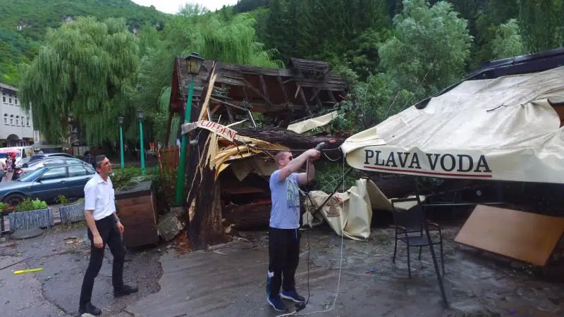 (VIDEO) PLAVA VODA TRAVNIK / Drvo palo na ljetnju baštu