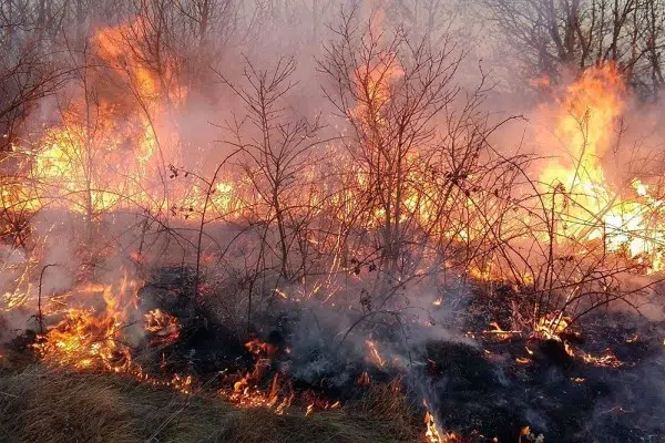 Upozorenje Službe za civilnu zaštitu – Ne palite vatru na otvorenom prostoru!