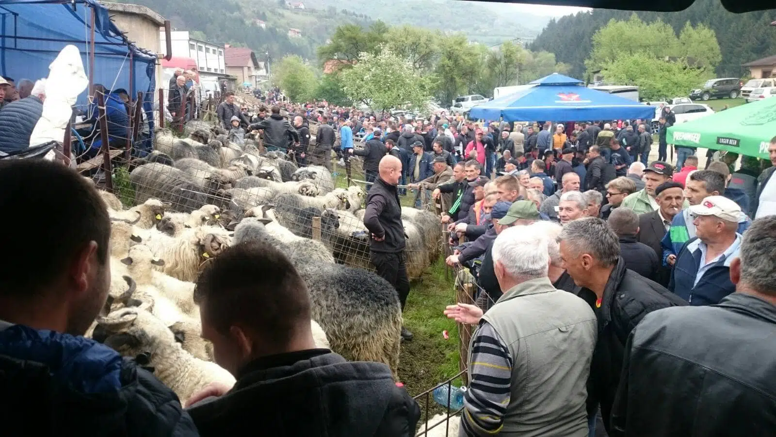 (VIDEO) Pogledajte kako je prošao Đurđevdanski dernek u Turbetu