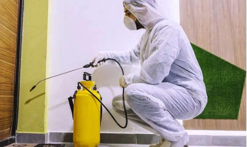 TRAVNIK / Počinje preventivna sistematska deratizacija