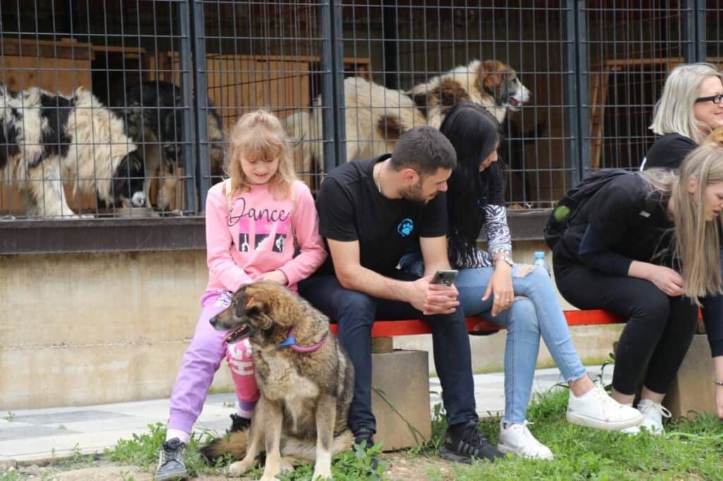 druženje sa napuštenim psima u travniku, dautović uručio ključeve novog vozila (foto)