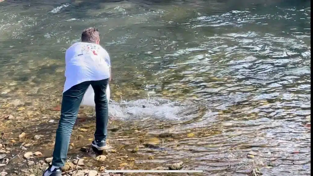 Novo poribljavanje rijeke Lašve