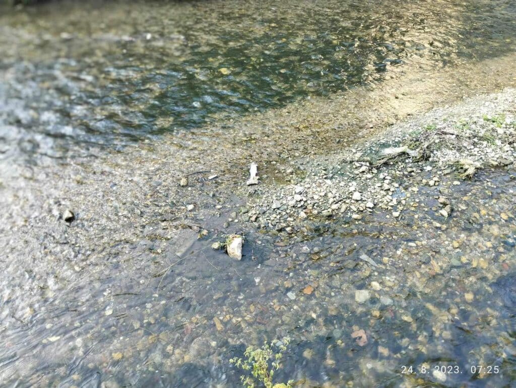 Komunalni redari općine Travnik/ Primjećeno nekoliko uginulih riba