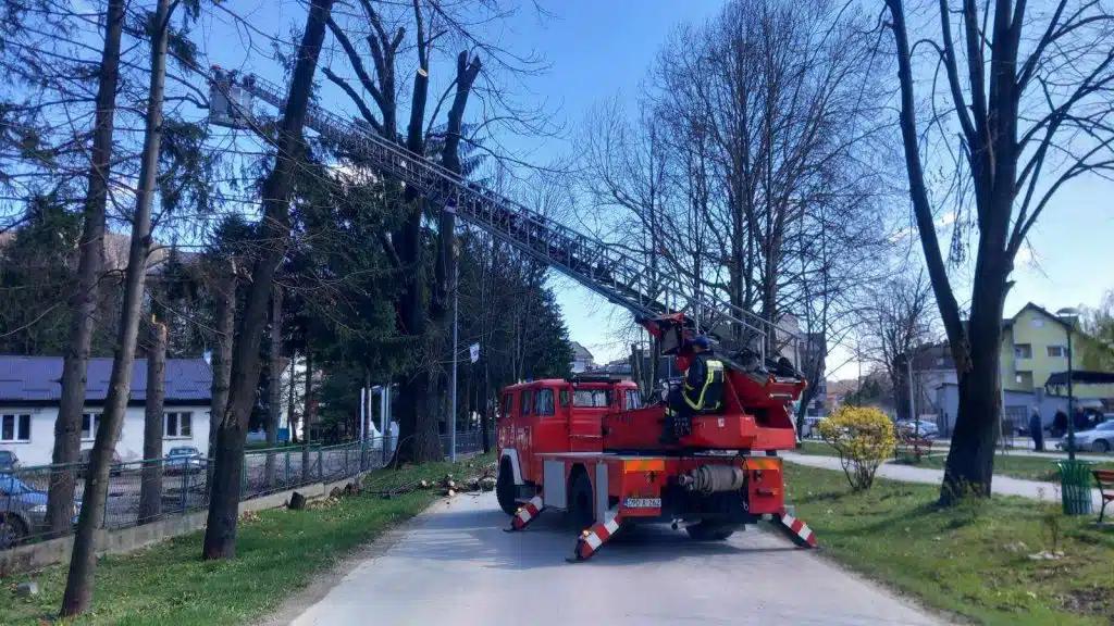 TRAVNIK/ U Aleji Konzula biti će zasađeno 68 novih sadnica