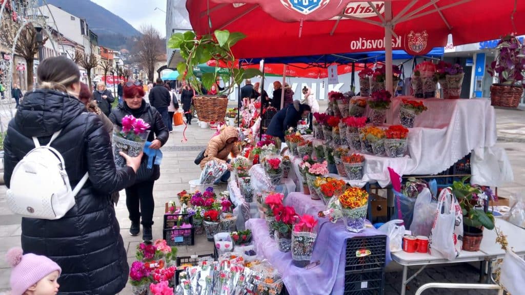 cvijeće ukrasilo ulice travnika povodom 8. marta (foto)