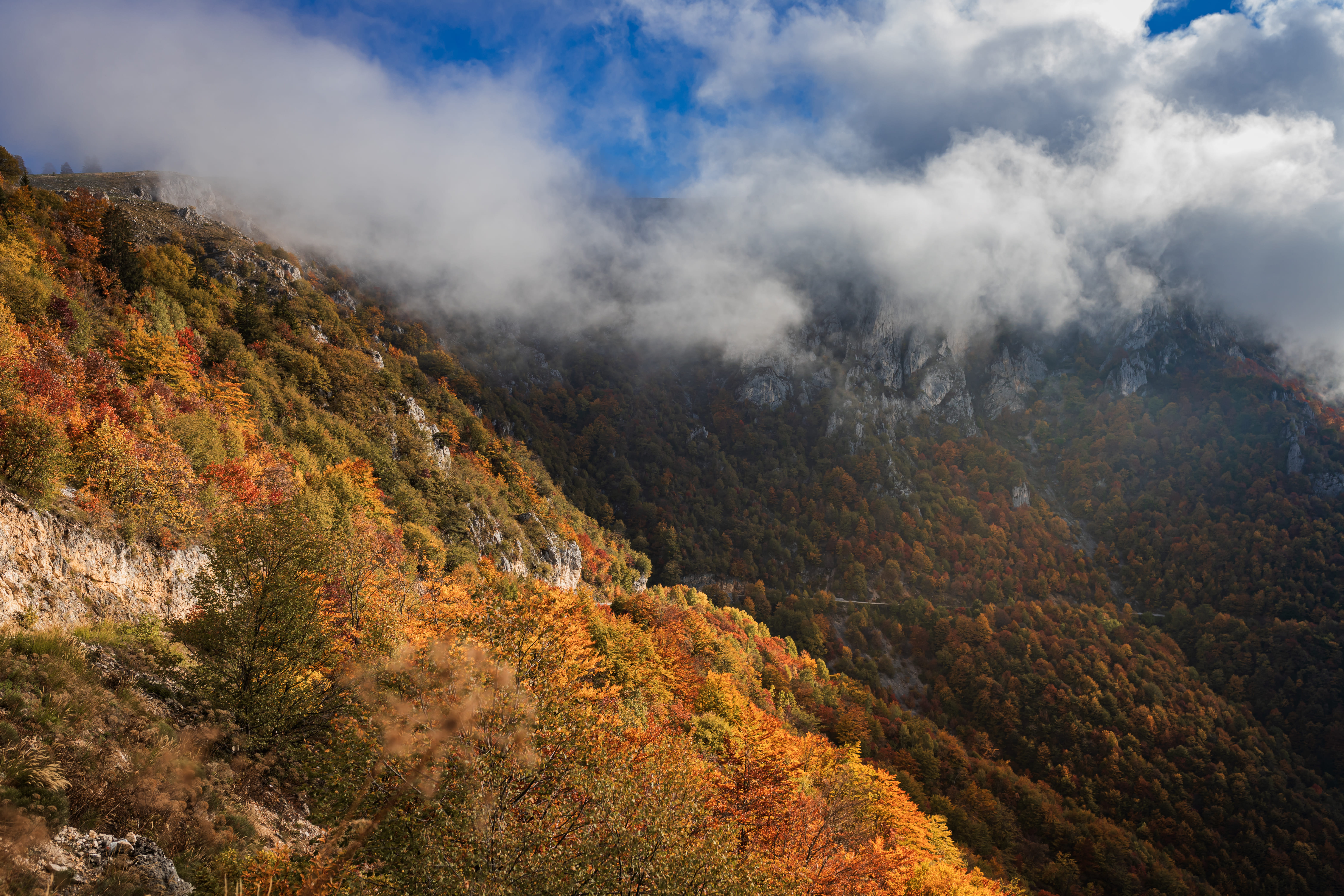 (FOTO) Jesen na Vlašiću kroz objektiv Samira Behlića Behle Foto: Samir Behlić Behla