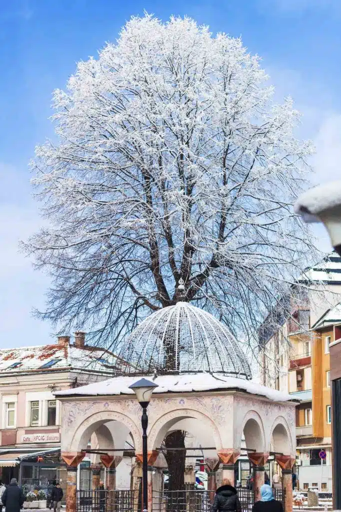 zimska idila u travniku kroz objektiv samira behlića behle (foto/video)