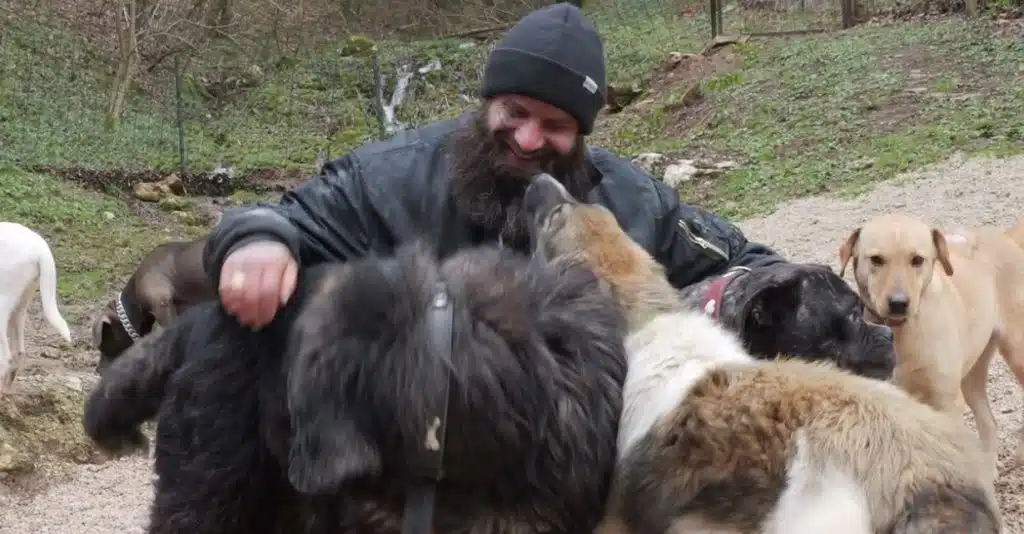 Najveći azil za pse je u blizini Travnika, o psima brine 35 radnika (VIDEO)