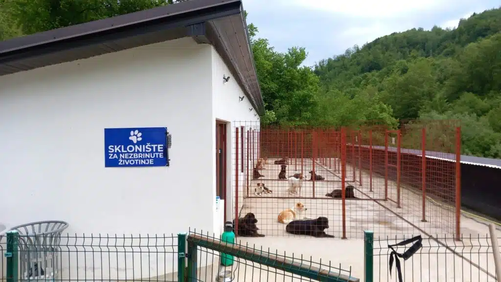 Sklonište za nezbrinute životinje Goleš organizovalo Dan otvorenih vrata (FOTO+VIDEO)
