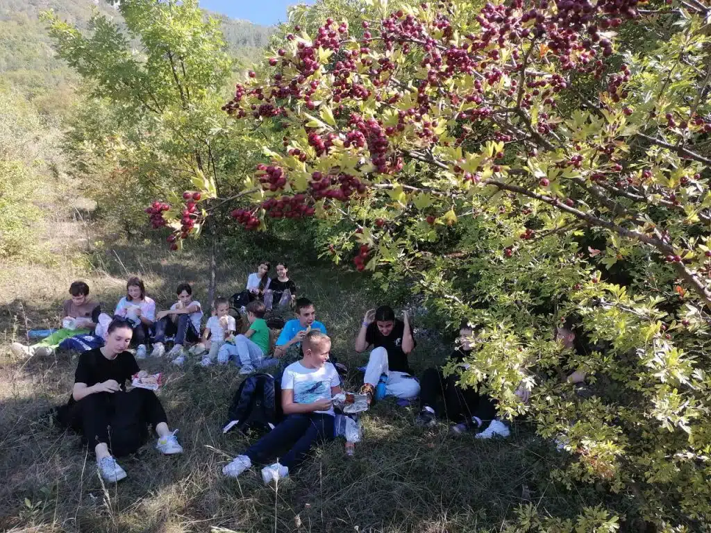 Travnik: Održana radionica „Od šumskog voća do vitaminskog napitka“ u sklopu projekta Majka Priroda