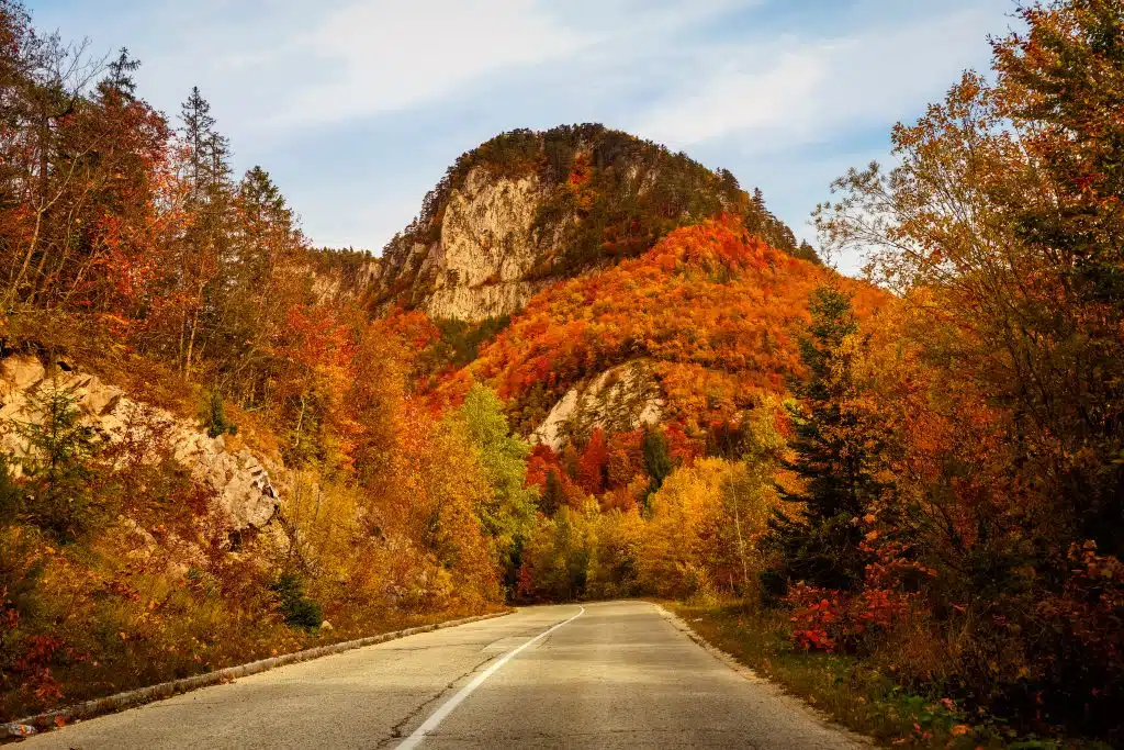 Jesen na Vlašiću, Ilomskoj i Ugru – čarolija boja i prirodnog mira (FOTO)