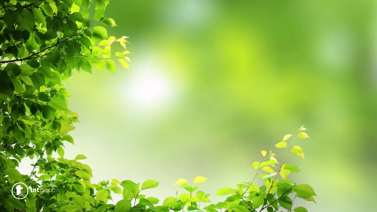 IUT Travnik organizuje međunarodnu konferenciju o zelenoj ekonomiji i klimatskim promjenama