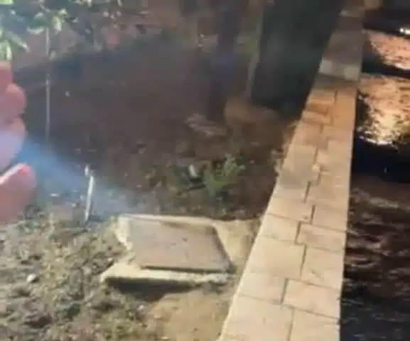 (VIDEO) Uhvaćen u krađi ribe kod Šarene džamije! Prolaznici sve snimili!