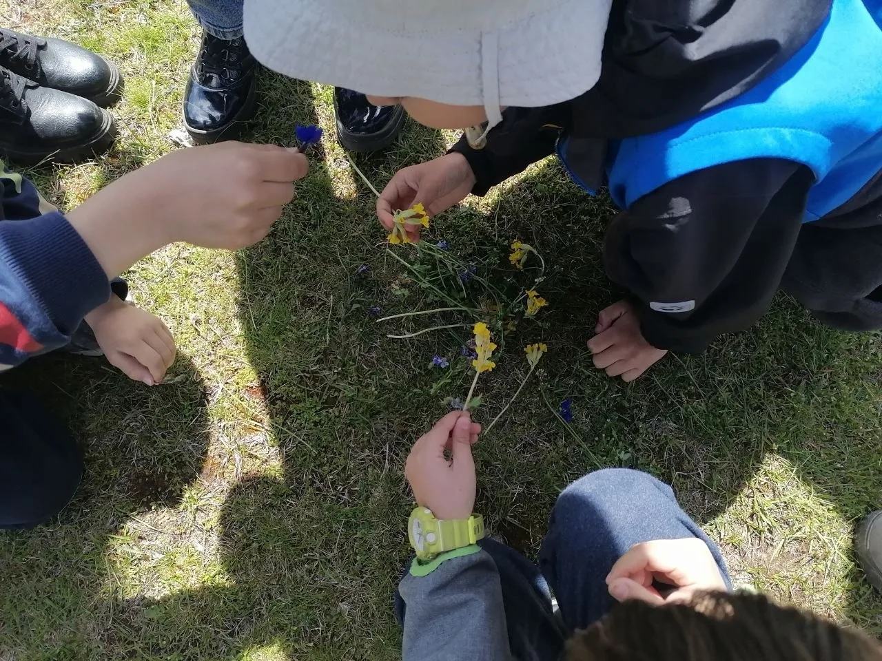 UPOZNAJMO FLORU VLAŠIĆA