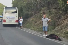Autobus udario medvjeda
