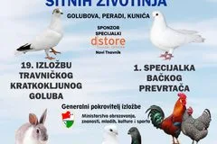 U Travniku od 6. do 8. novembra izložba Udruženja za uzgoj i zaštitu sitnih životinja “Tulika”