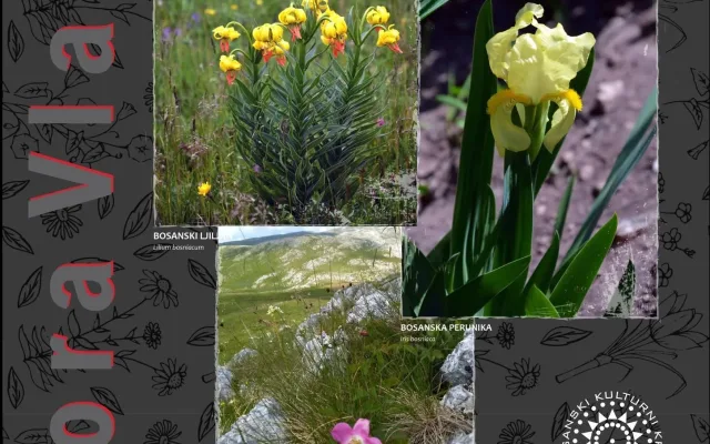 Izložba Flora Vlašića : Fotografije nastale kroz Likin objektiv