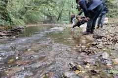 Tajni život riba : Zagađivanja vodotoka u travničkom kraju
